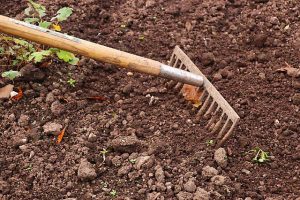 Die Gartenarbeit im Frühjahr ist sehr wichtig