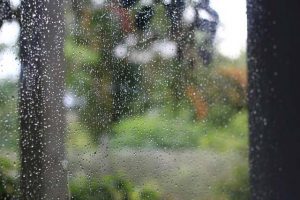 Das Regenwasser kann man im Garten nutzen